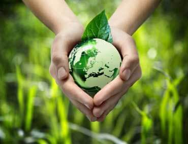 Eco Friendly